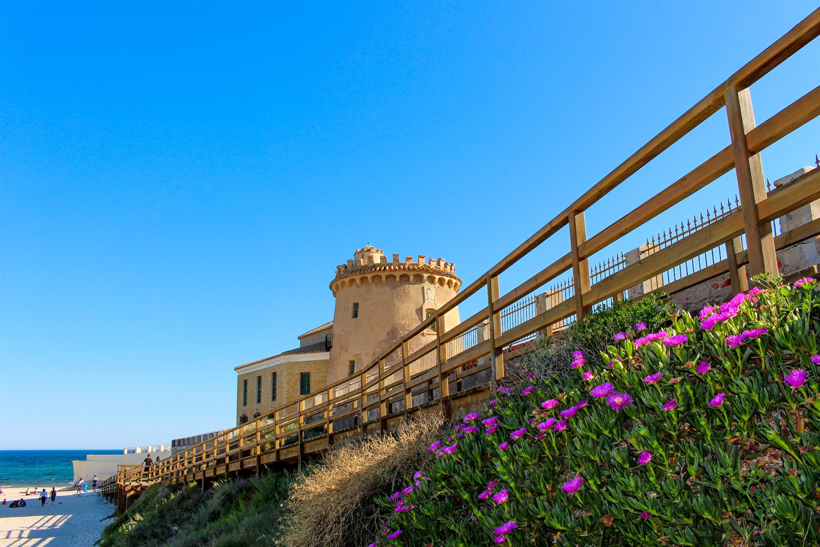 Blühende Steilküste an der Costa Blanca